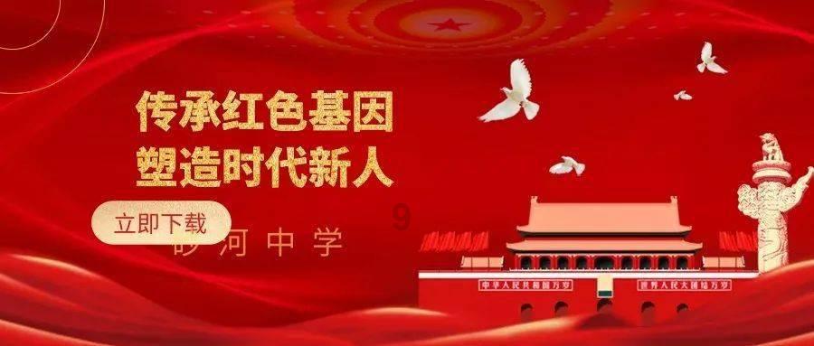 见缝插刀2